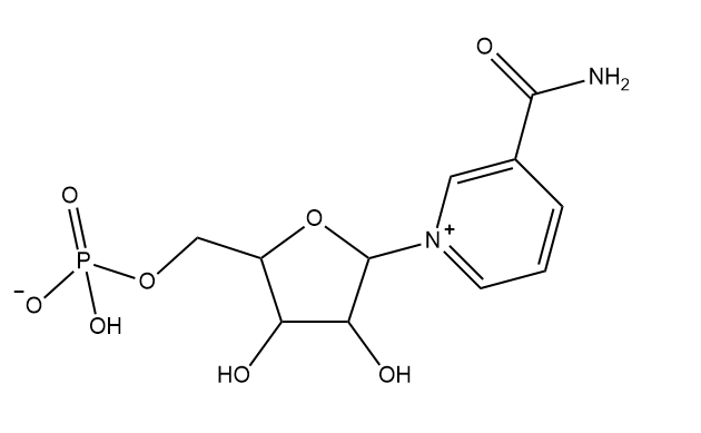 β-烟酰胺单核苷酸（NMN)