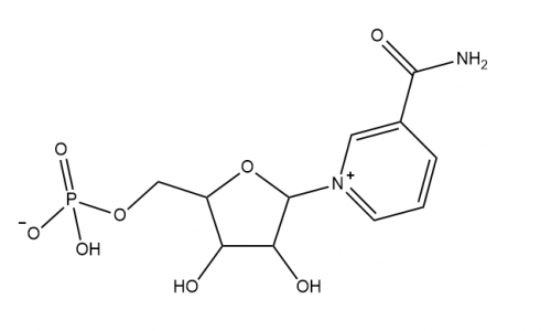 β-烟酰胺单核苷酸（NMN)
